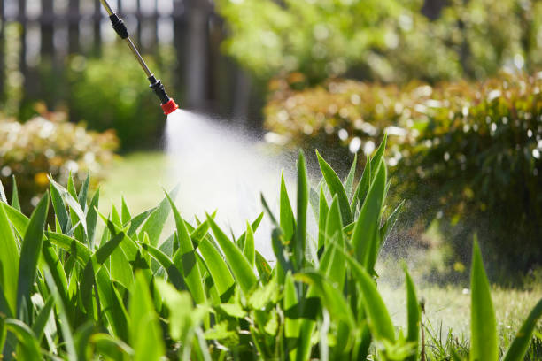 24/7 Emergency Mosquito Control experts in Fairborn, OH